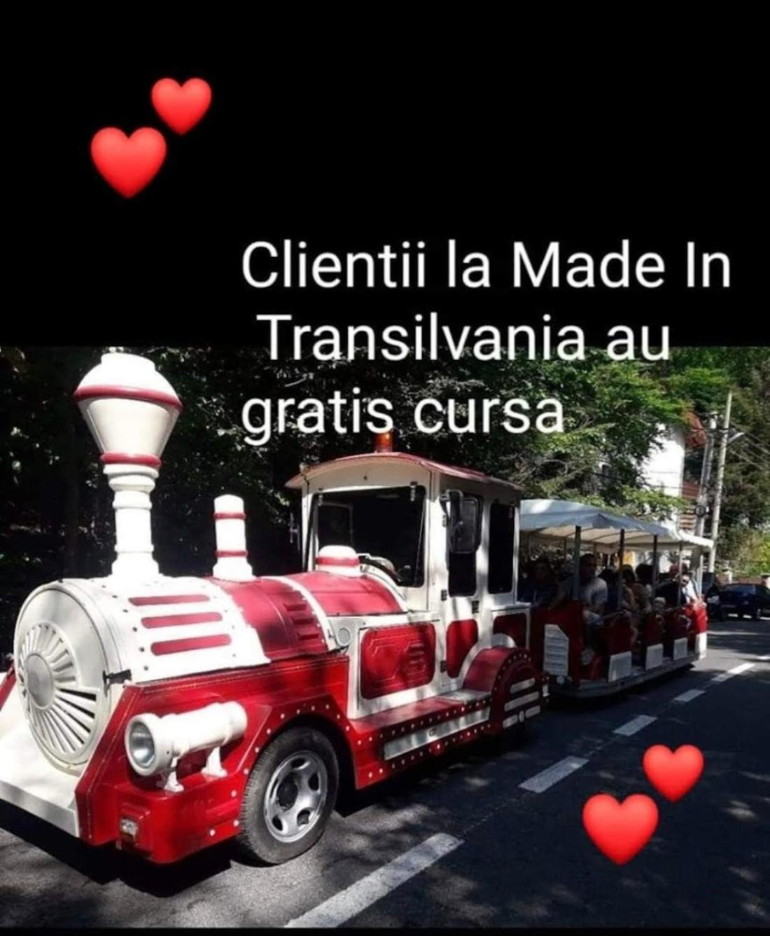 Made In Transilvania Sighisoara Exterior photo